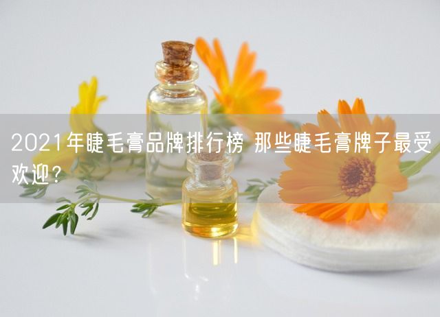 2021年睫毛膏品牌排行榜 那些睫毛膏牌子最受欢迎？(图1)