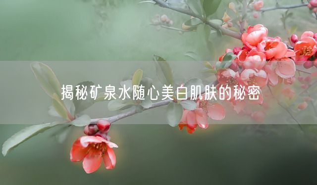 揭秘矿泉水随心美白肌肤的秘密(图1)