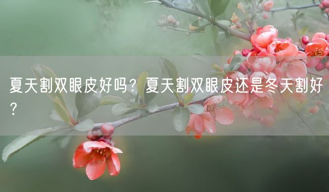 夏天割双眼皮好吗？夏天割双眼皮还是冬天割好？(图1)