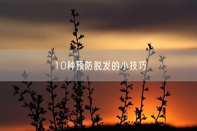 10种预防脱发的小技巧(图1)