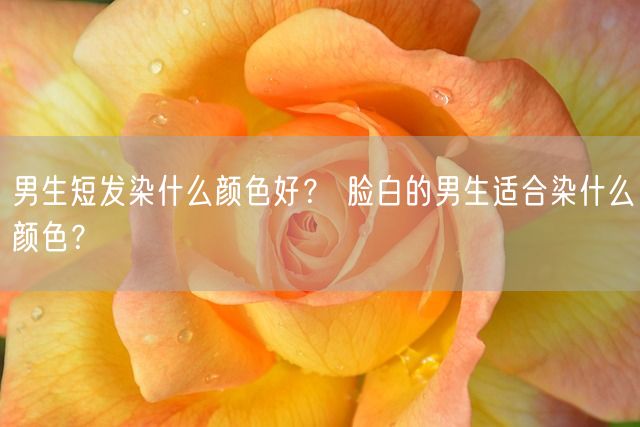 男生短发染什么颜色好？ 脸白的男生适合染什么颜色？(图1)