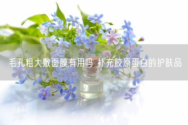 毛孔粗大敷面膜有用吗 补充胶原蛋白的护肤品(图1)