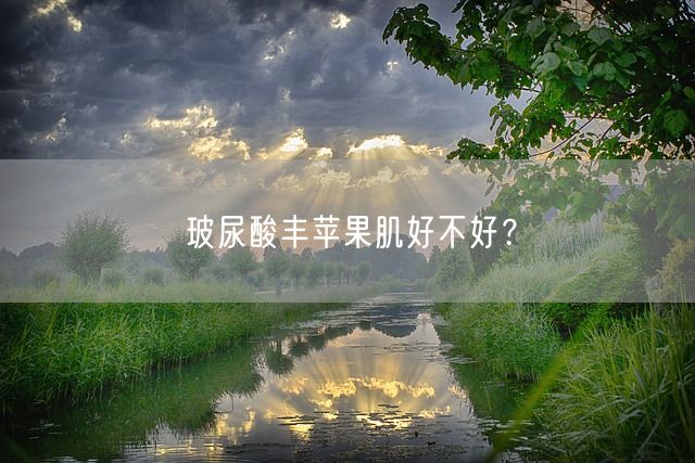 玻尿酸丰苹果肌好不好？(图1)